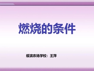 实验活动3燃烧的条件