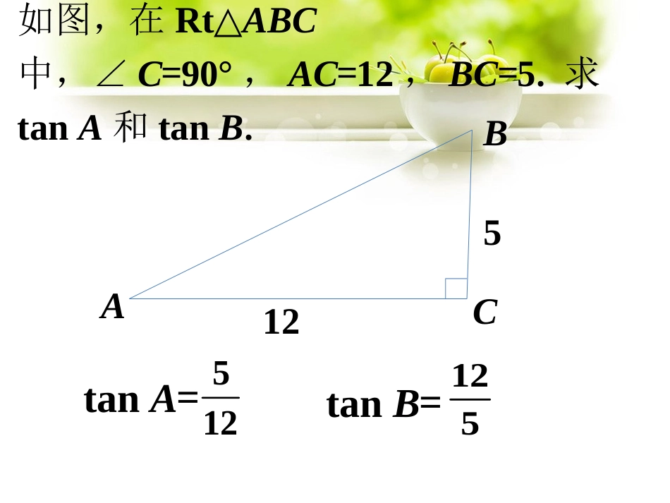 课外练习1-正切_第1页