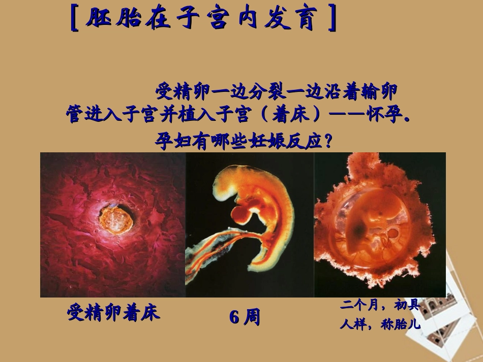 浙江省桐乡三中七年级科学下册《新生命的诞生》第二课时课件-浙教版_第2页