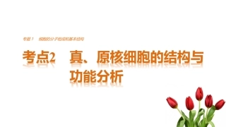 全章复习与测试