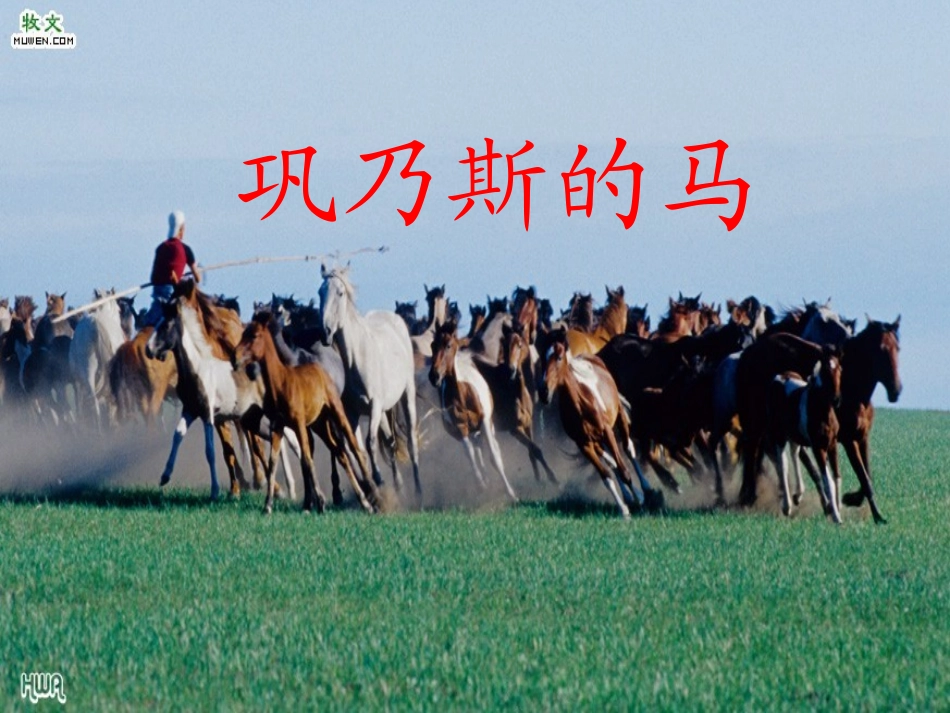 10.巩乃斯的马_第1页