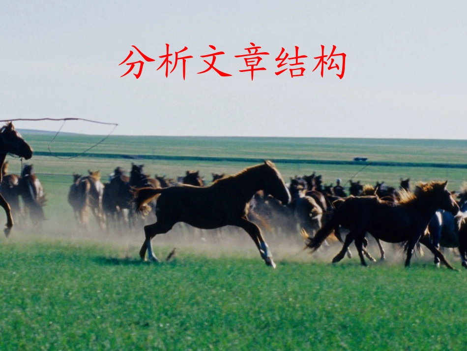 10.巩乃斯的马_第3页
