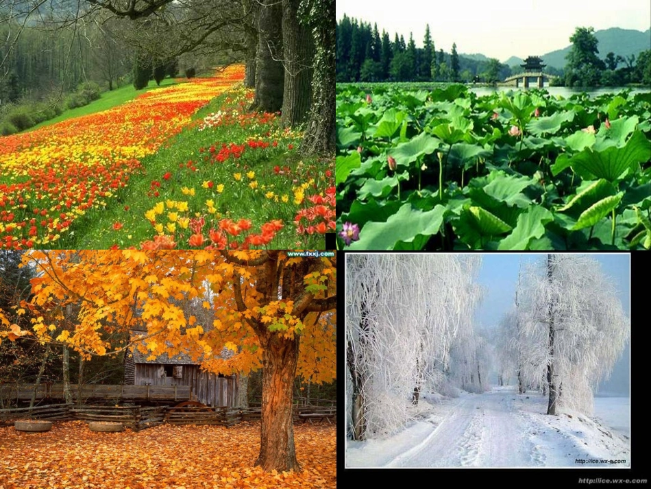 19、大自然的语言_第2页