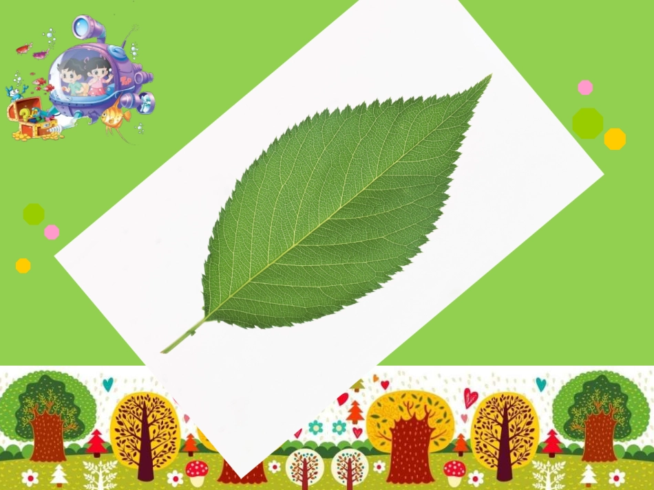 人教2011版小学数学三年级正方形和长方形的周长_第2页