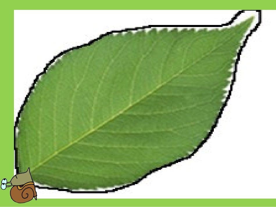 人教2011版小学数学三年级正方形和长方形的周长_第3页