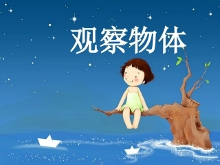 人教版二年级数学上册《观察物体》PPT课件2