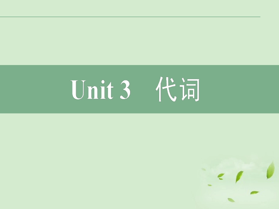 2012届高考英语二轮复习-Unit3-代词课件_第2页