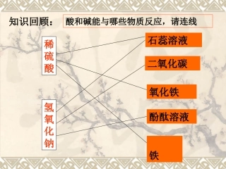 课题2-酸和碱的中和反应