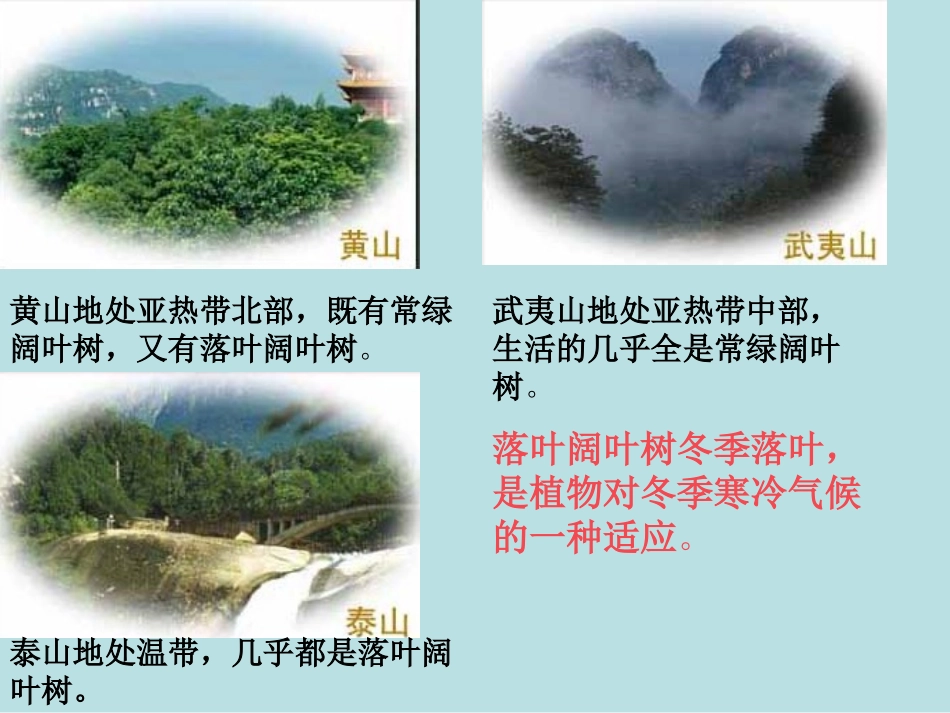 生物的艳丽多姿与它们生活环境的关系_第2页