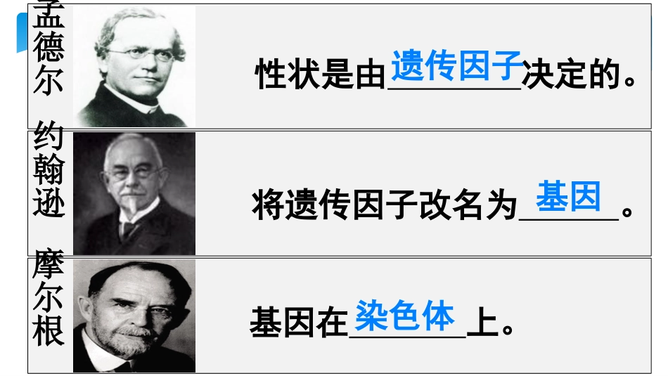 二寻找遗传物质_第1页