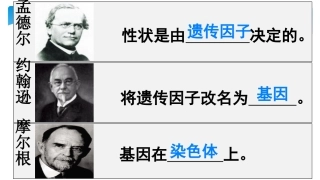 二寻找遗传物质