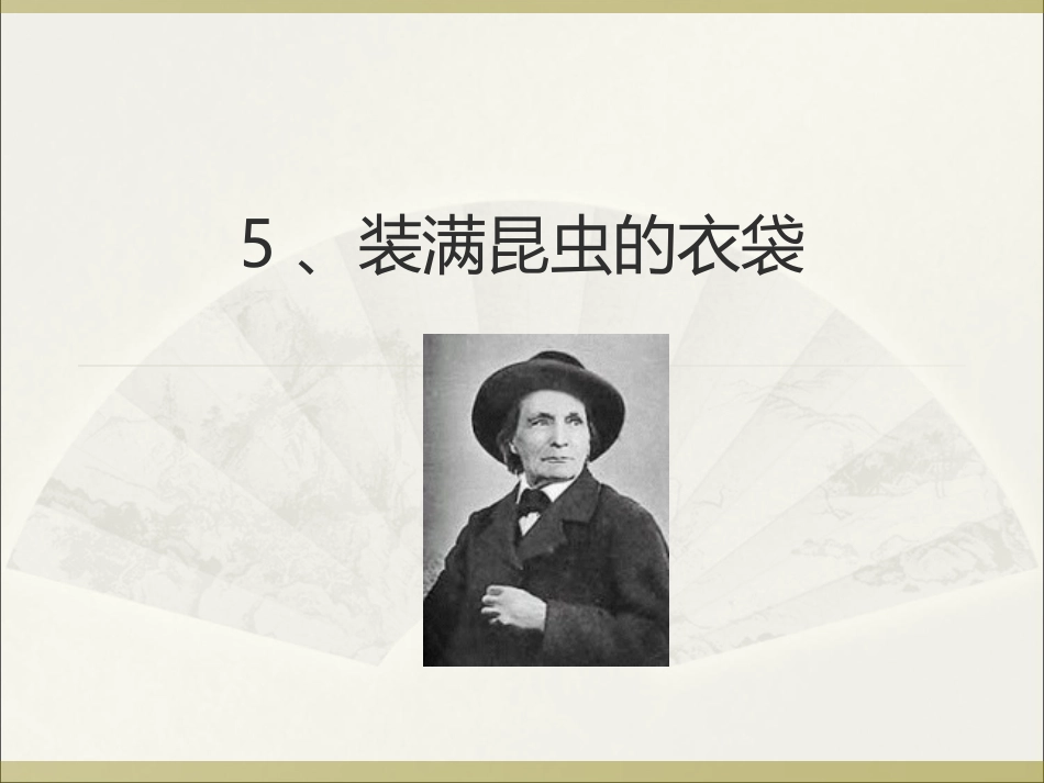 装满昆虫的衣袋_第1页