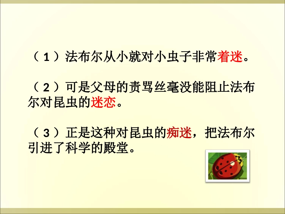 装满昆虫的衣袋_第2页