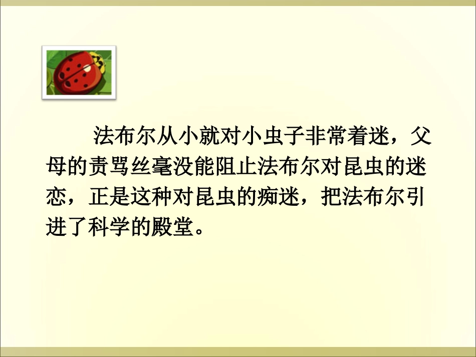 装满昆虫的衣袋_第3页