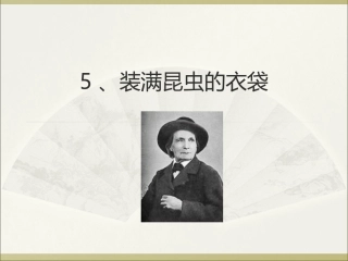 装满昆虫的衣袋