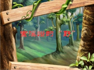 4索溪峪的野课件