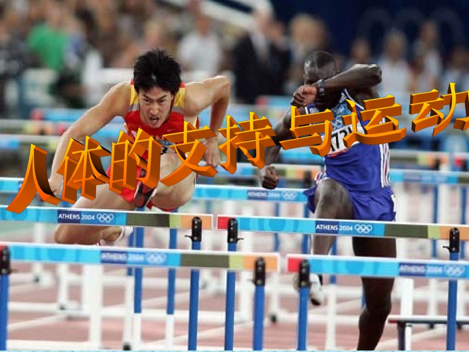 1.人体与运动_第1页