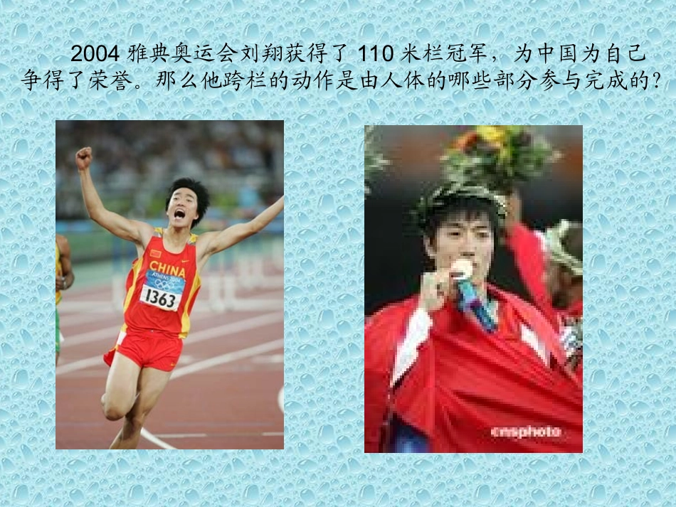 1.人体与运动_第2页