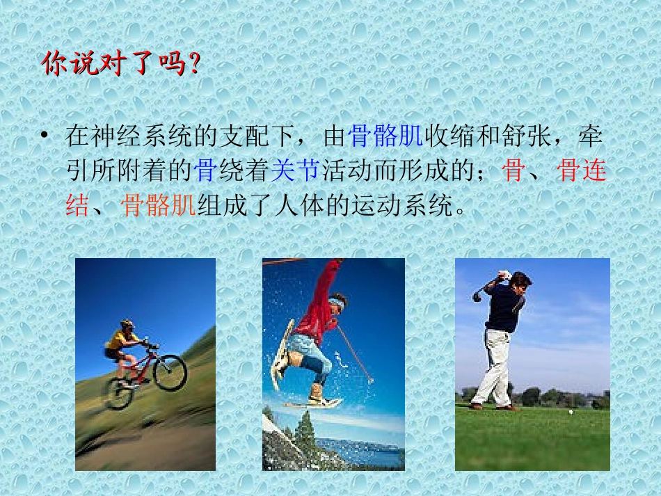 1.人体与运动_第3页