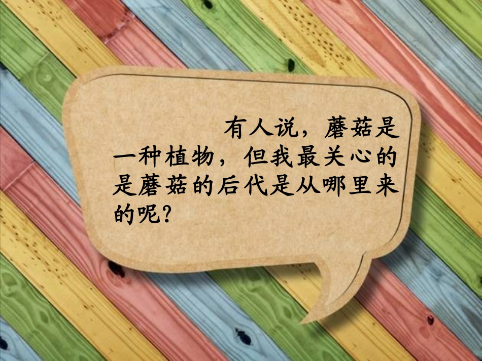 我的问题卡片_第1页