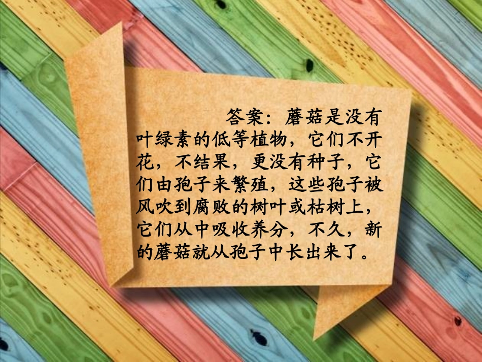 我的问题卡片_第2页