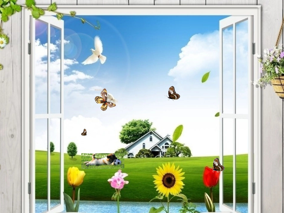 病房里的故事_第2页