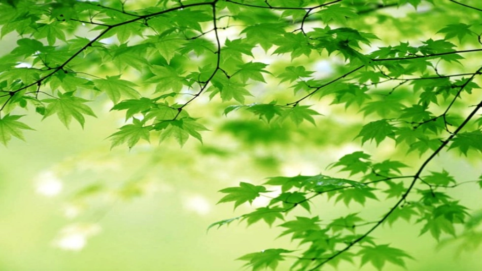 体育与情绪的调控_第1页