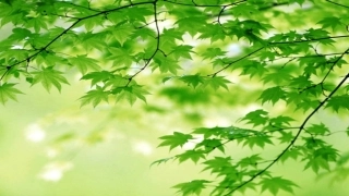 体育与情绪的调控