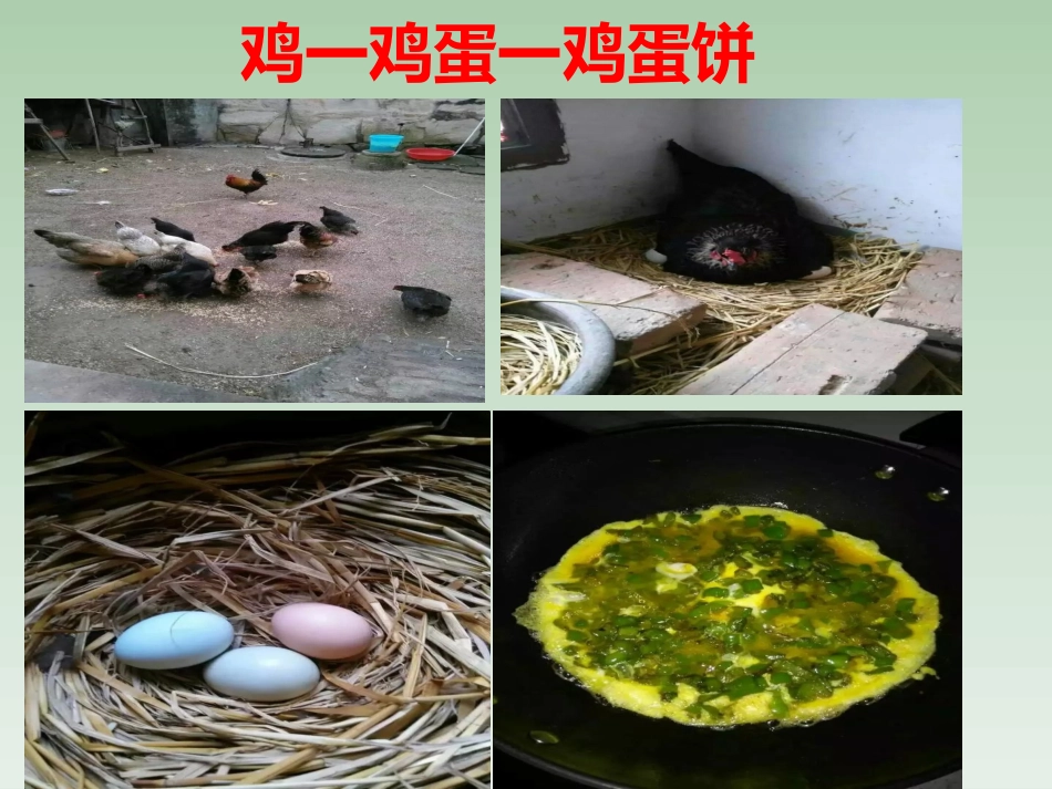 标点符号的正确运用_第1页