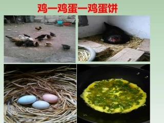 标点符号的正确运用