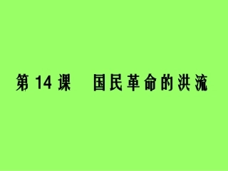 国民革命的洪流-(1)