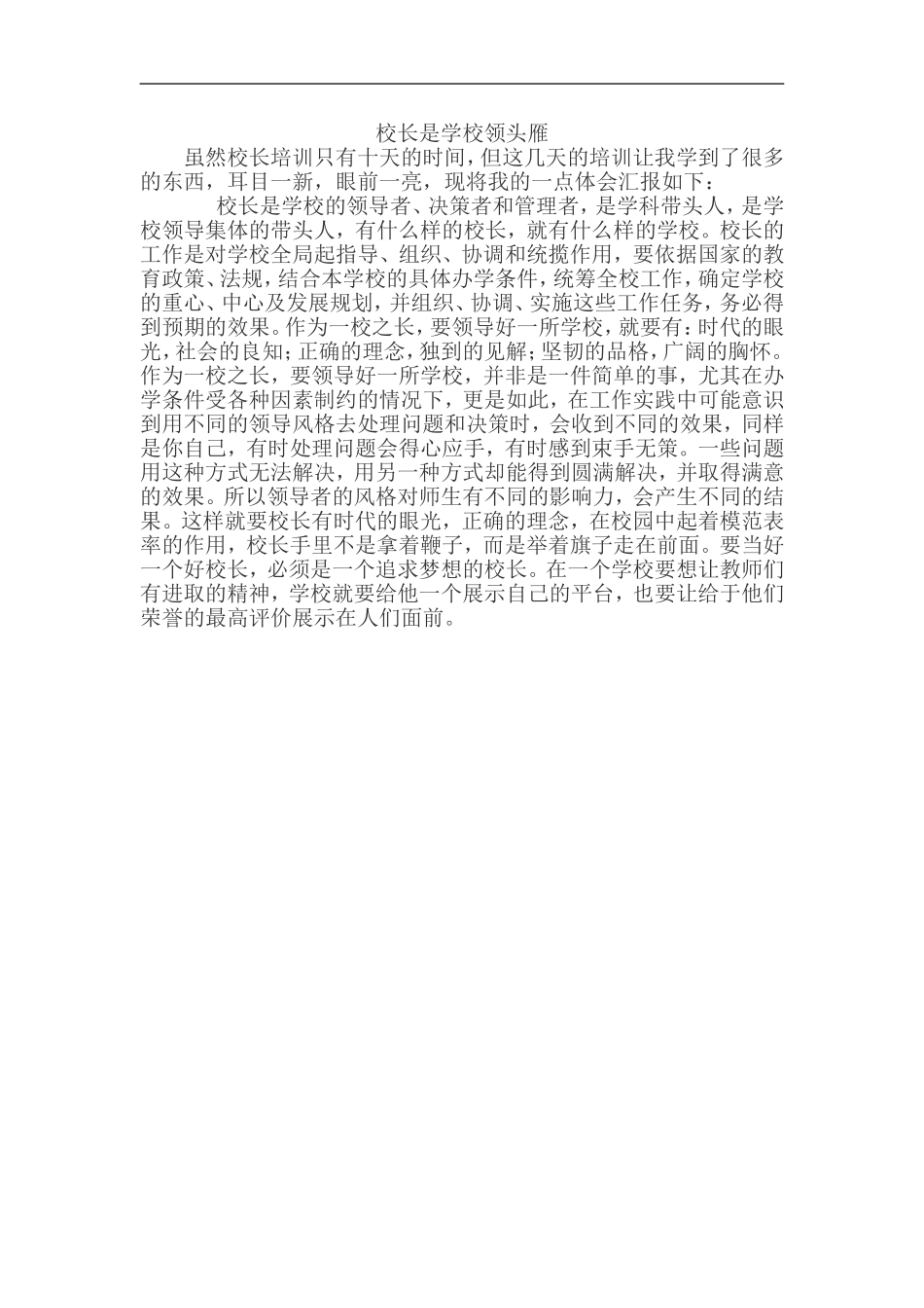 校长是学校领头雁_第1页