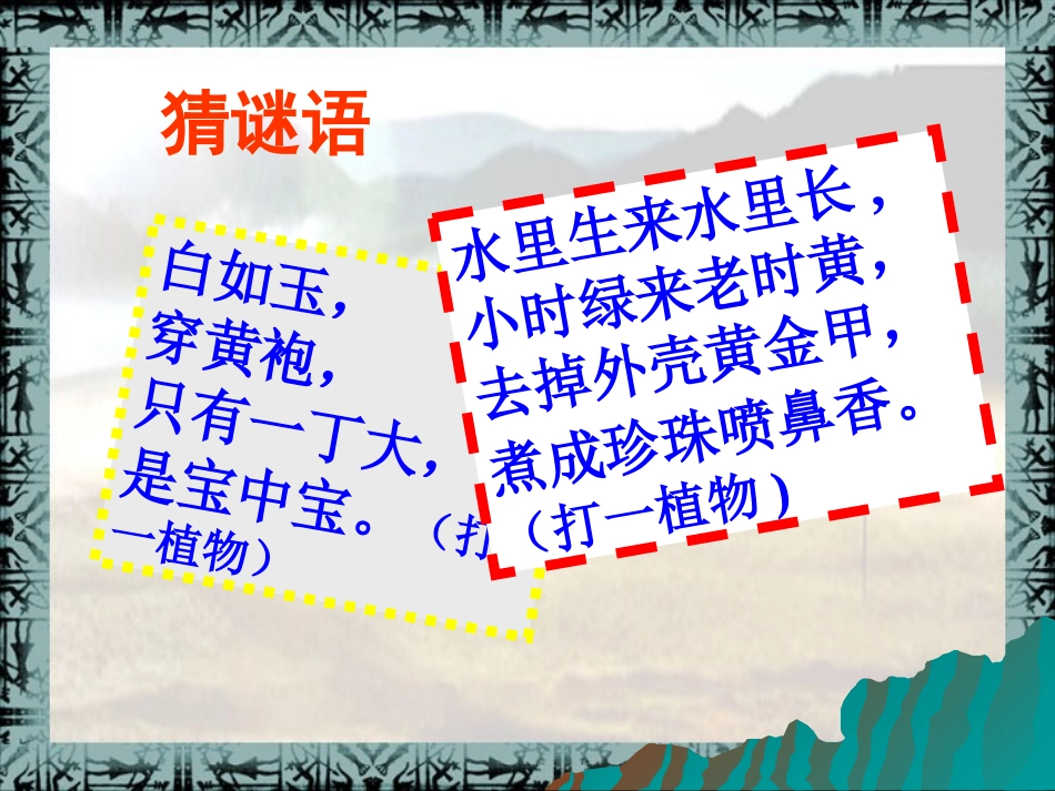 第2课星罗棋布的氏族聚落课件_第1页