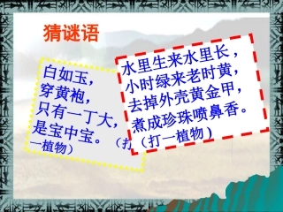 第2课星罗棋布的氏族聚落课件