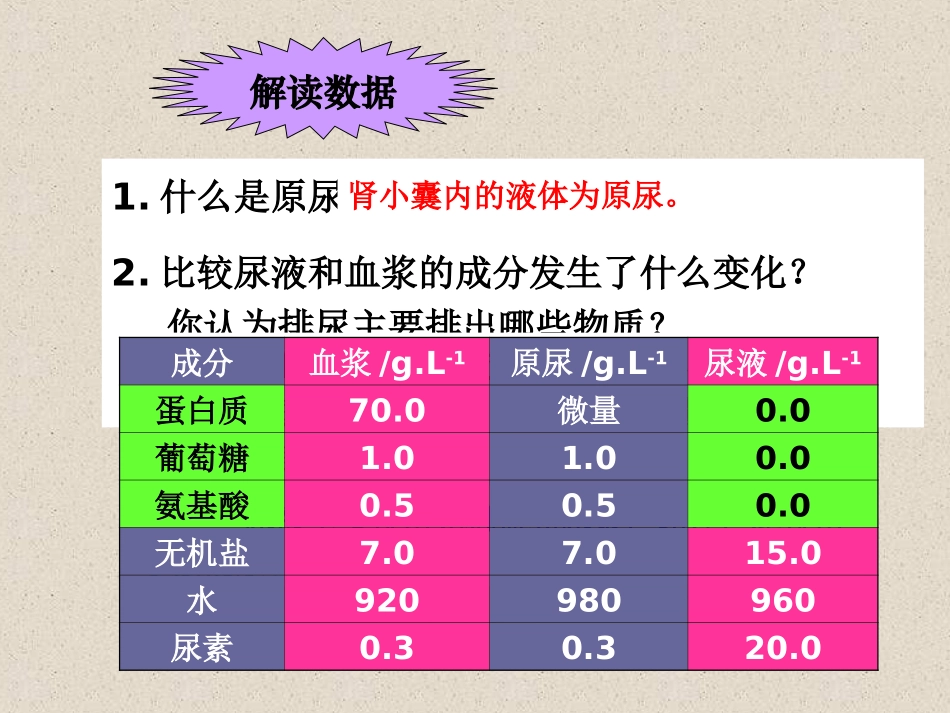 第二节人体废物的排出_第3页