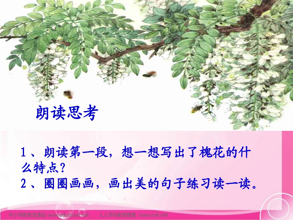 《槐乡五月》课件_第3页
