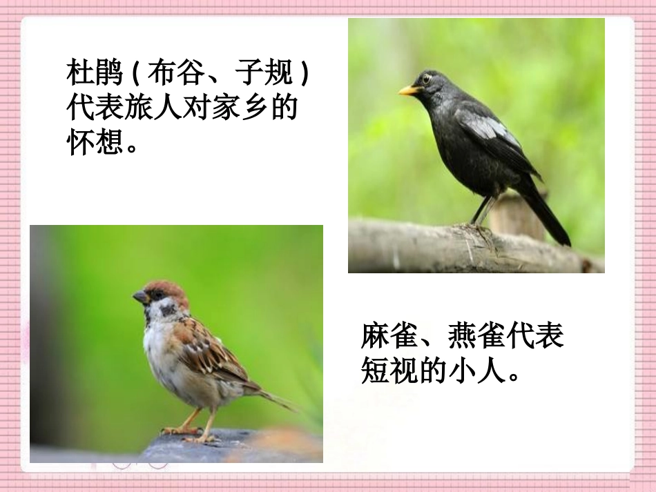 《乌鸦喝水》知识拓展_第2页