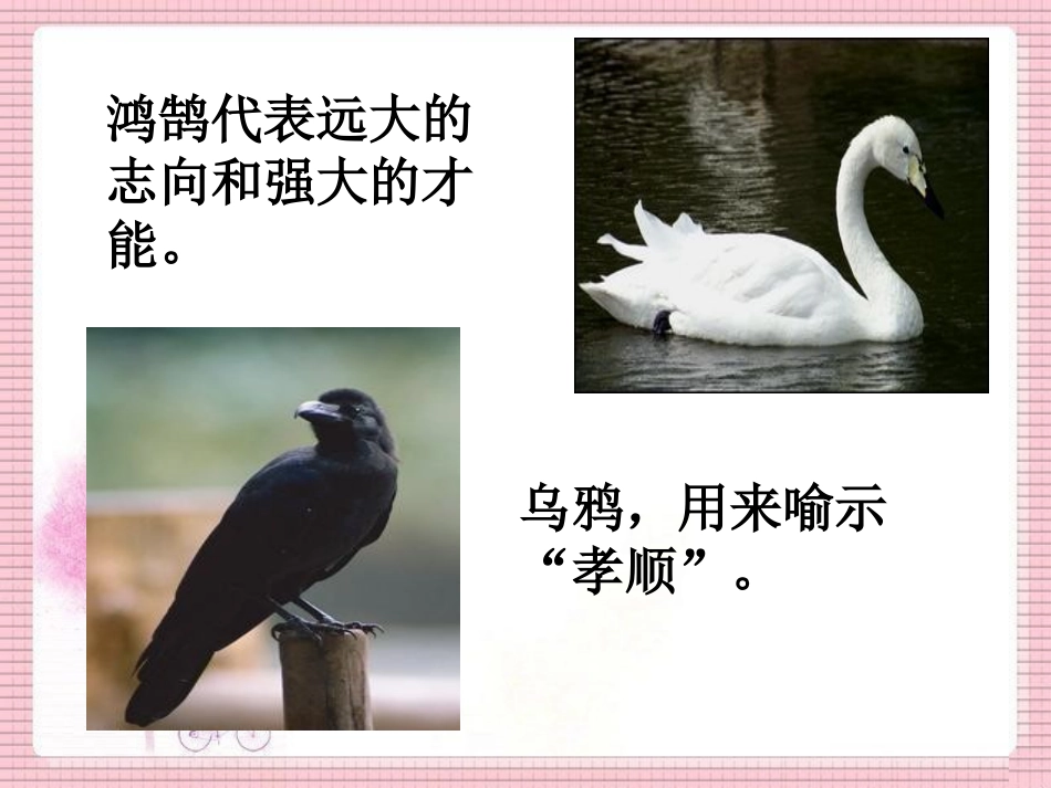 《乌鸦喝水》知识拓展_第3页