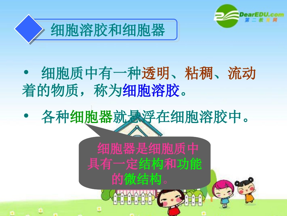 高中生物：细胞质课件浙科版必修1_第3页