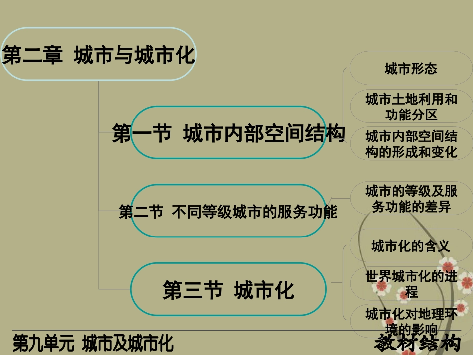 高三地理复习-人文地理城市及城市化课件_第2页