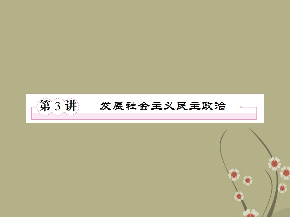 高三政治二轮复习-2.3发展社会主义民主政治课件_第1页