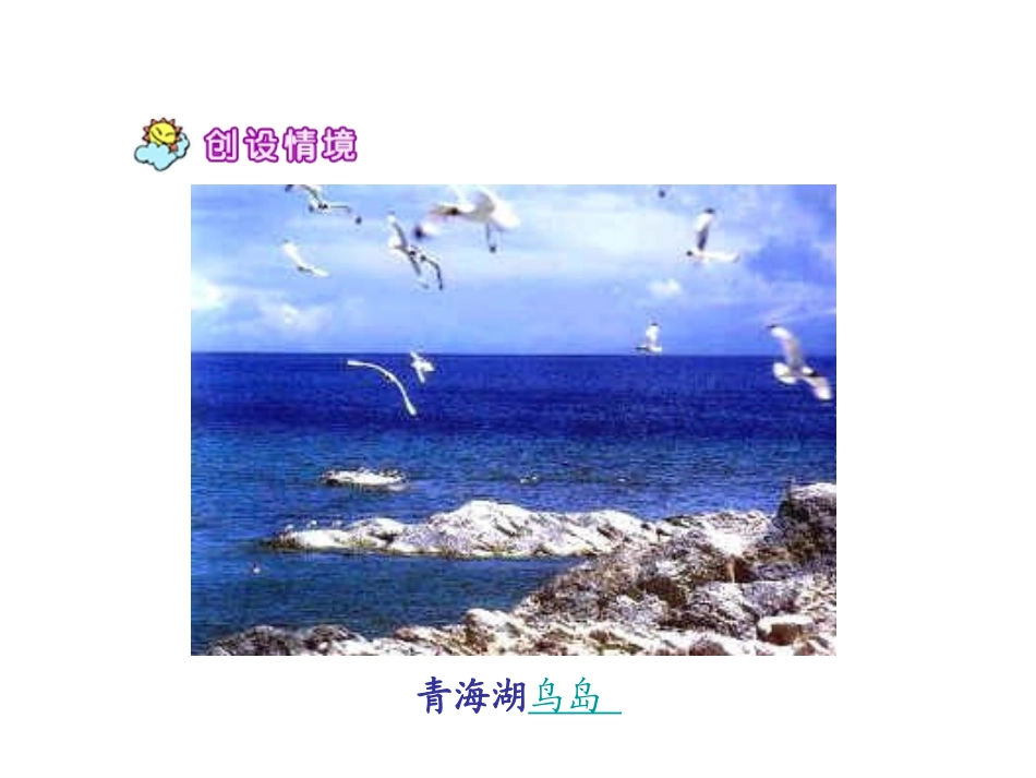 鸟岛第一课时_第3页