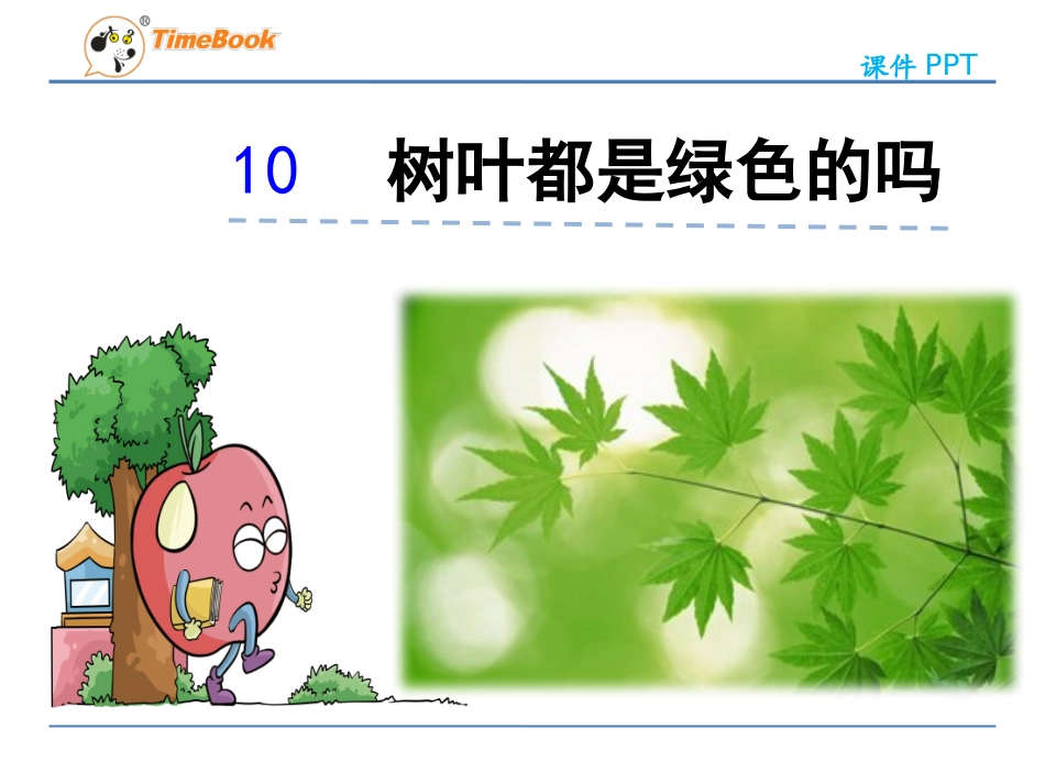 10树叶都是绿色的吗_第3页