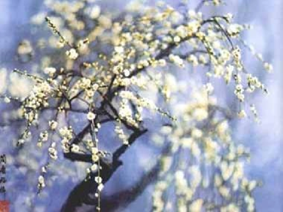 6《梅花魂》ppt课件4_第3页