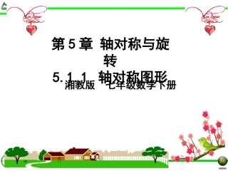 5.1.1轴对称图形-(2)