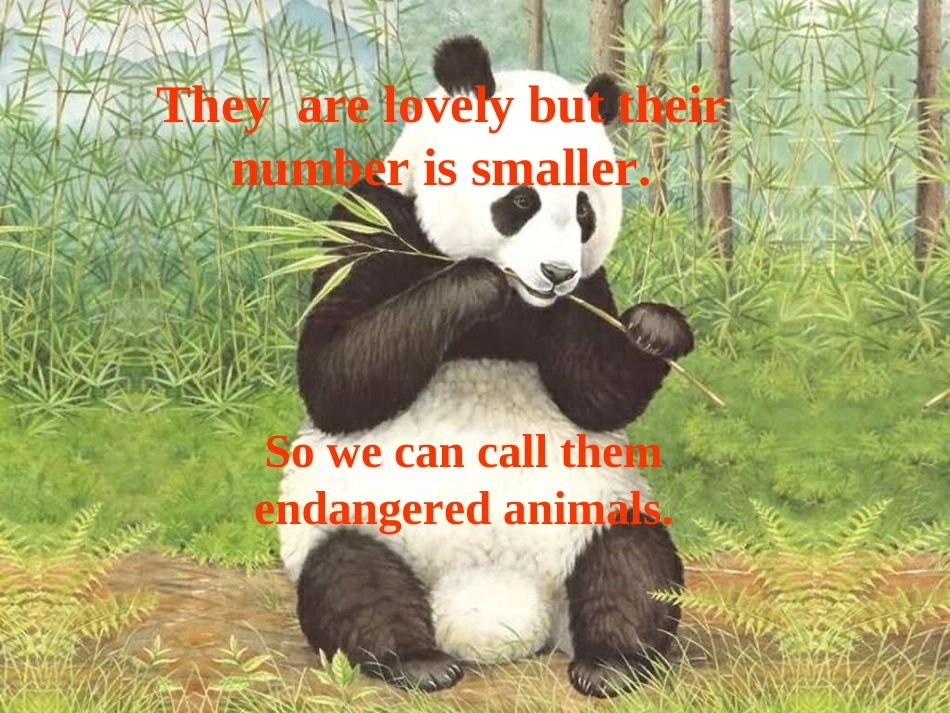 wildlife-protection-Reading_第2页