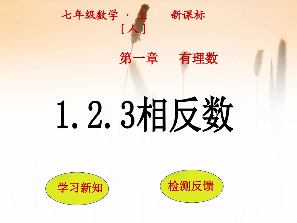 1.2.3相反数.2.3相反数-(2)_第1页