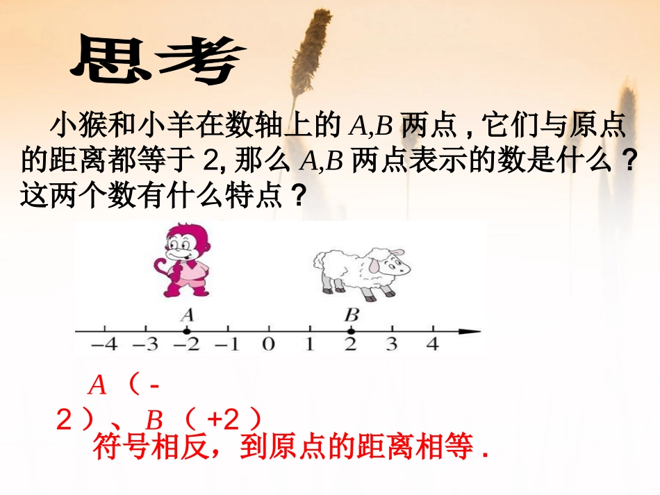 1.2.3相反数.2.3相反数-(2)_第2页