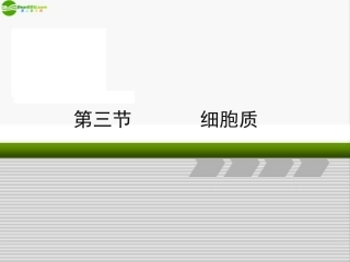 高中生物《细胞质》课件7-浙科版必修1