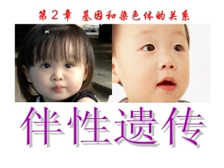 科学前沿组装细胞-(12)